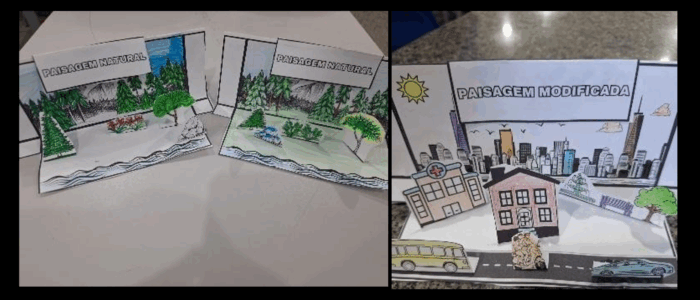 cpaq pedagogia - Imagem2