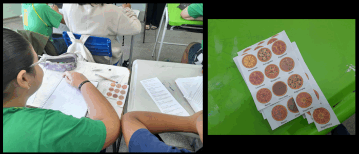 cpar mat - Imagem1
